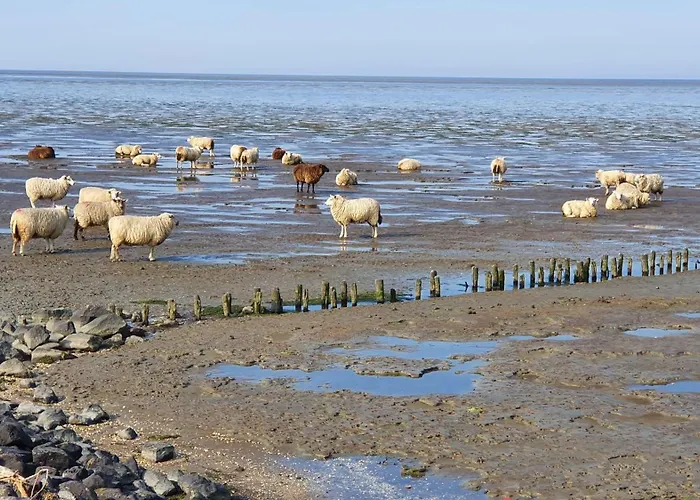 Vakantiehuis Nordsee_2-max-3-pers *